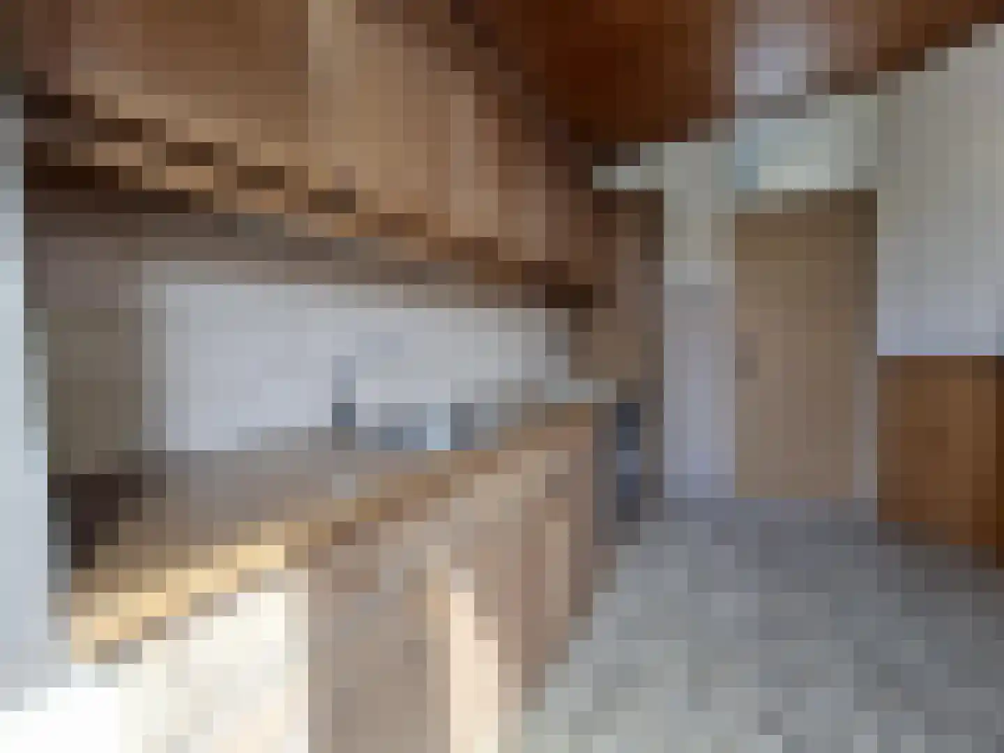 Mendelssohnstraat 3 Nieuwerkerk aan den IJssel thumbnail 8