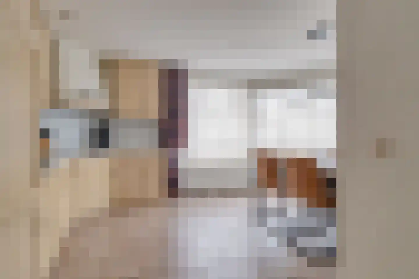 Mendelssohnstraat 30 Capelle aan den IJssel thumbnail 10