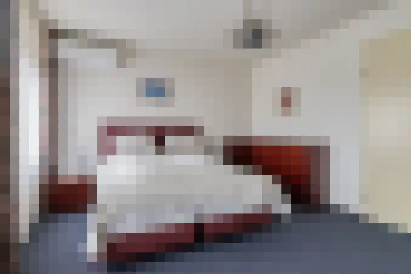 Mendelssohnstraat 30 Capelle aan den IJssel thumbnail 16