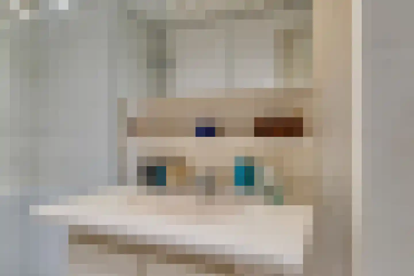 Mendelssohnstraat 30 Capelle aan den IJssel thumbnail 23