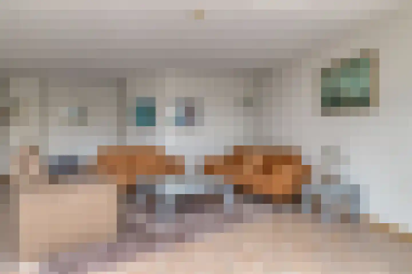 Mendelssohnstraat 30 Capelle aan den IJssel thumbnail 5