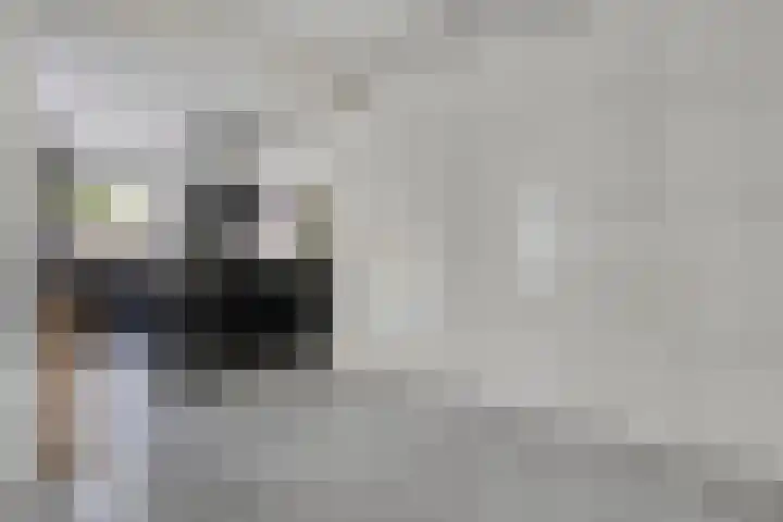 Mendelssohnstraat 30 Waalwijk thumbnail 18