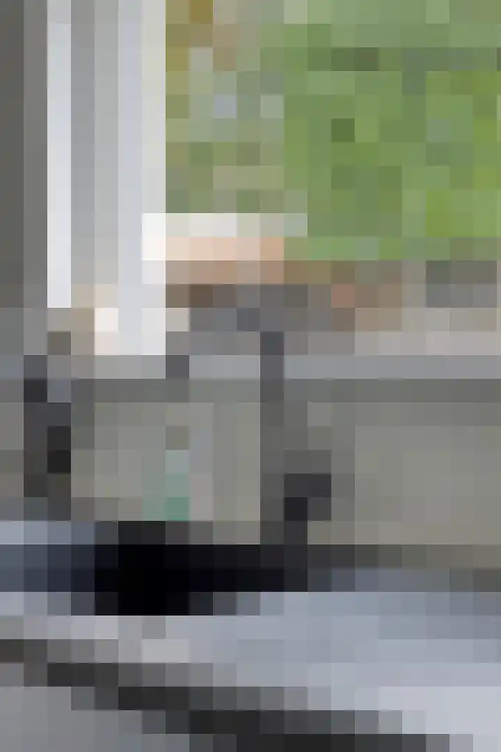 Mendelssohnstraat 30 Waalwijk thumbnail 23