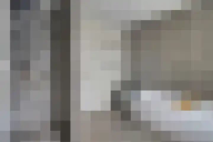 Mendelssohnstraat 30 Waalwijk thumbnail 30