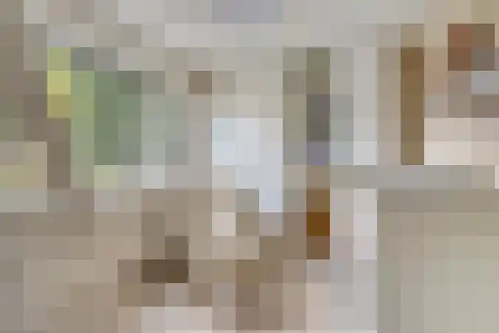 Mendelssohnstraat 30 Waalwijk thumbnail 31