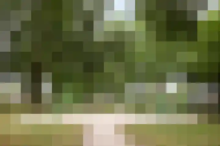 Mendelssohnstraat 30 Waalwijk thumbnail 44