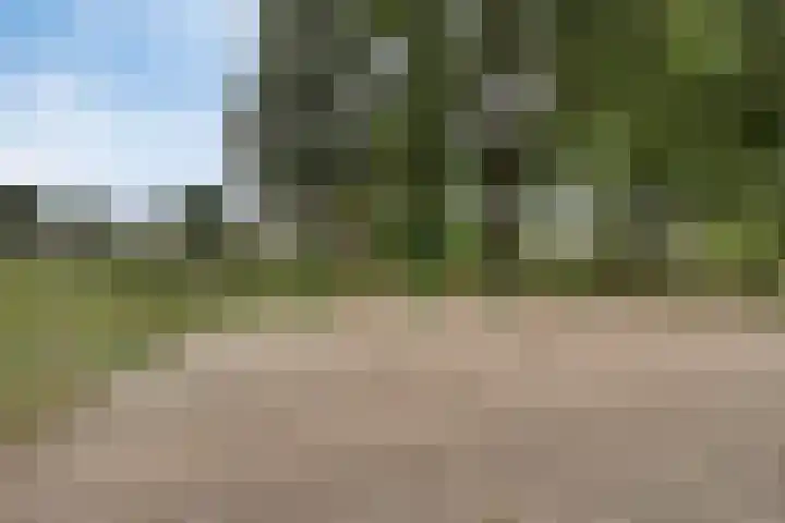 Mendelssohnstraat 30 Waalwijk thumbnail 47