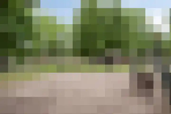 Mendelssohnstraat 30 Waalwijk thumbnail 48