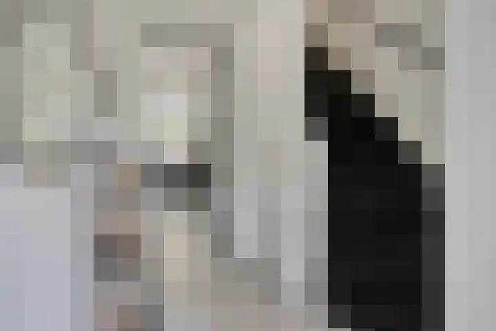 Mendelssohnstraat 30 Waalwijk thumbnail 5