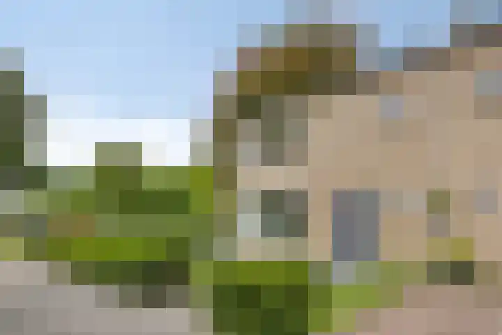 Mendelssohnstraat 30 Waalwijk thumbnail 50