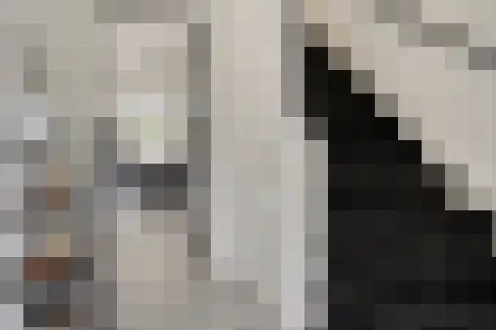 Mendelssohnstraat 30 Waalwijk thumbnail 6