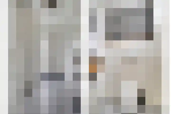 Mendelssohnstraat 30 Waalwijk thumbnail 7