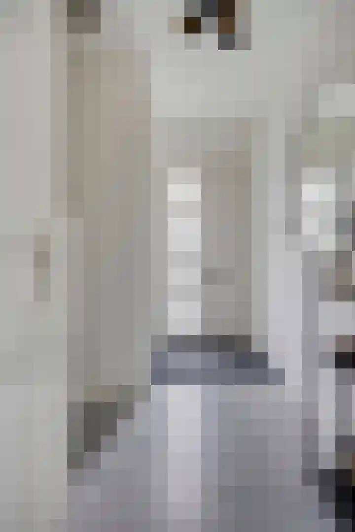 Mendelssohnstraat 30 Waalwijk thumbnail 8