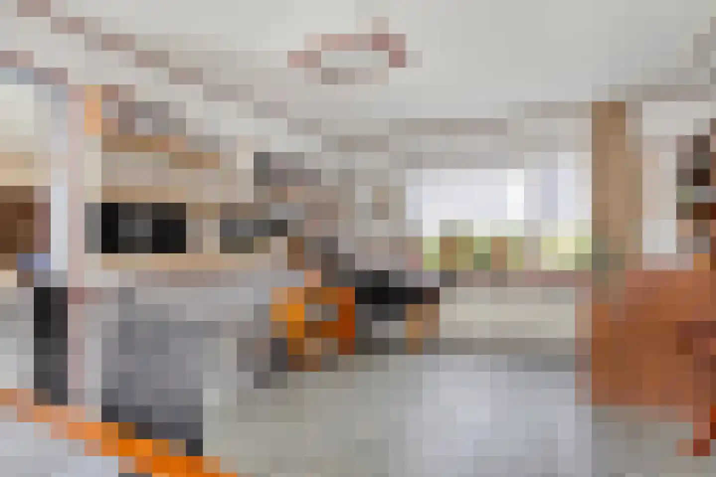 Mendelssohnstraat 30 Zwolle thumbnail 17