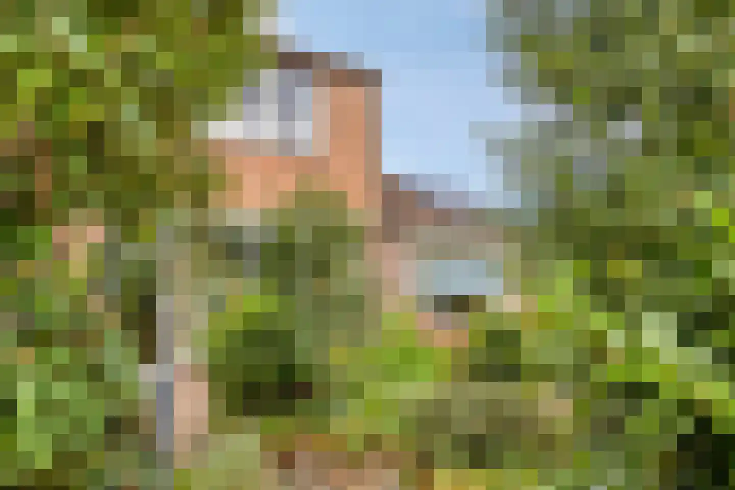 Mendelssohnstraat 30 Zwolle thumbnail 32