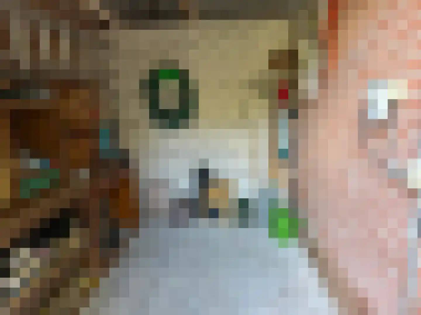Mendelssohnstraat 30 Zwolle thumbnail 32