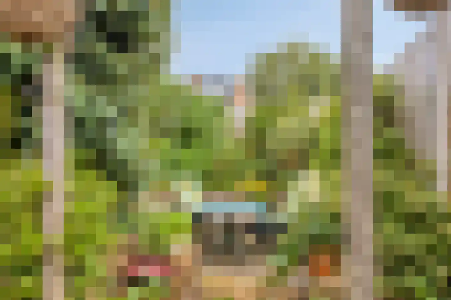 Mendelssohnstraat 30 Zwolle thumbnail 33