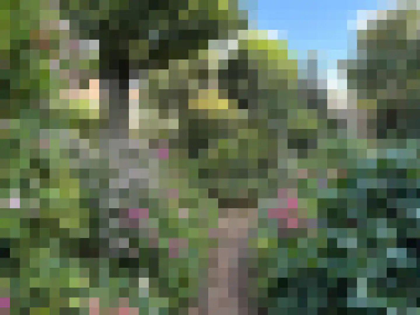 Mendelssohnstraat 30 Zwolle thumbnail 34