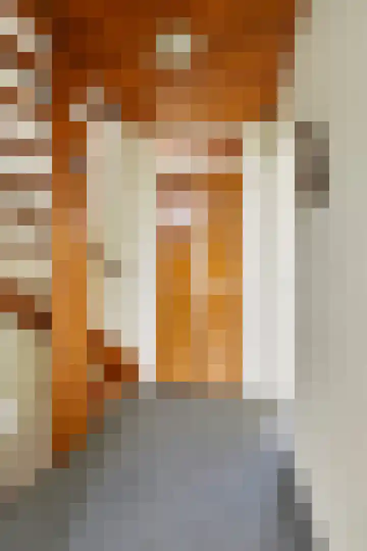 Mendelssohnstraat 32 Numansdorp thumbnail 12