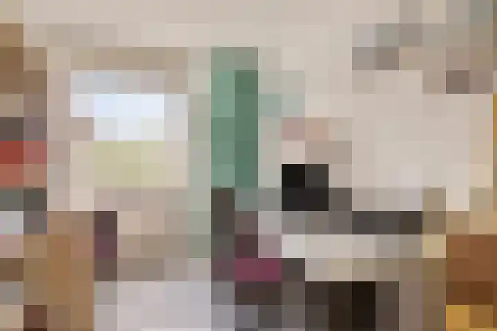 Mendelssohnstraat 32 Numansdorp thumbnail 15
