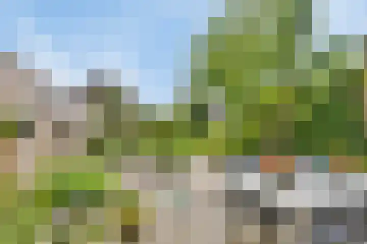 Mendelssohnstraat 32 Numansdorp thumbnail 22
