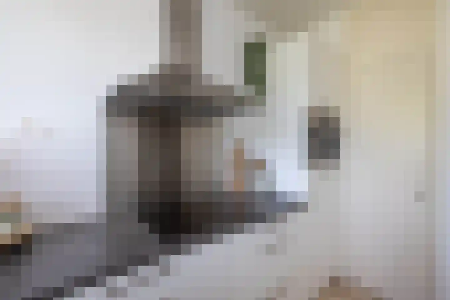 Mendelssohnstraat 34 Hengelo thumbnail 12