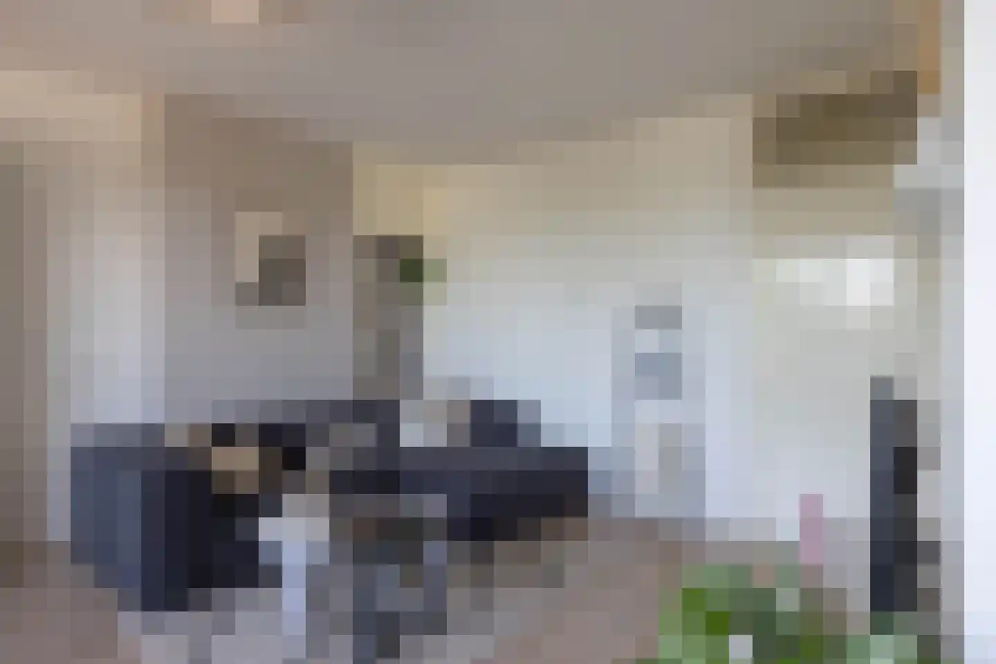 Mendelssohnstraat 34 Hengelo thumbnail 5