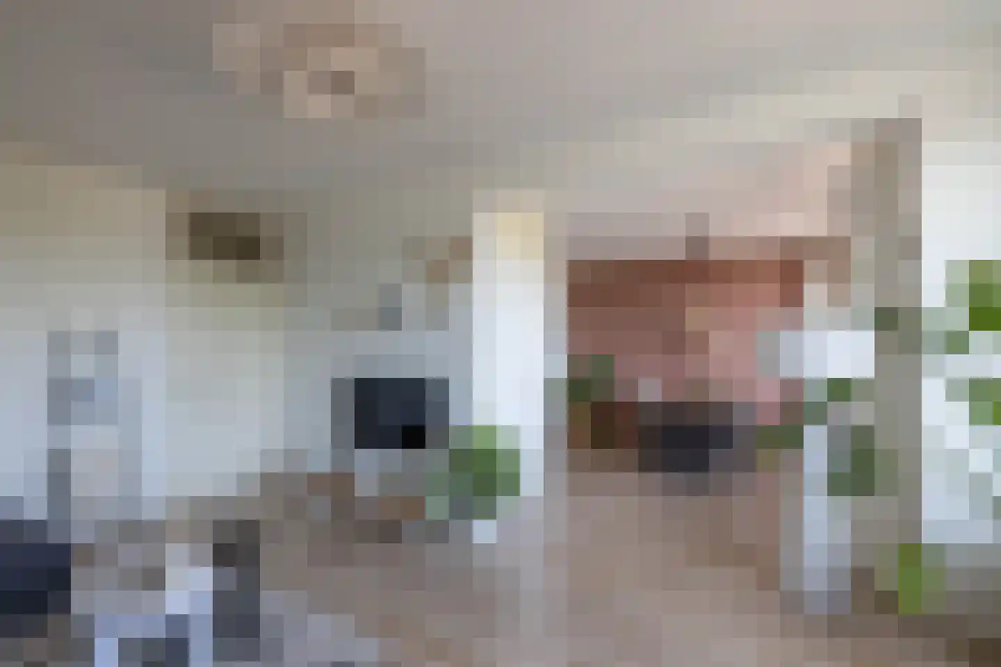 Mendelssohnstraat 34 Hengelo thumbnail 6