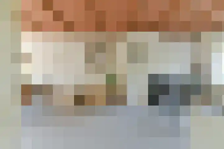 Mendelssohnstraat 37 Utrecht thumbnail 12