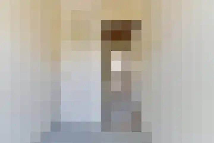 Mendelssohnstraat 37 Utrecht thumbnail 27