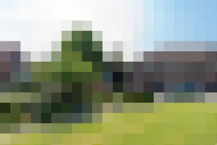Mendelssohnstraat 37 Utrecht thumbnail 41