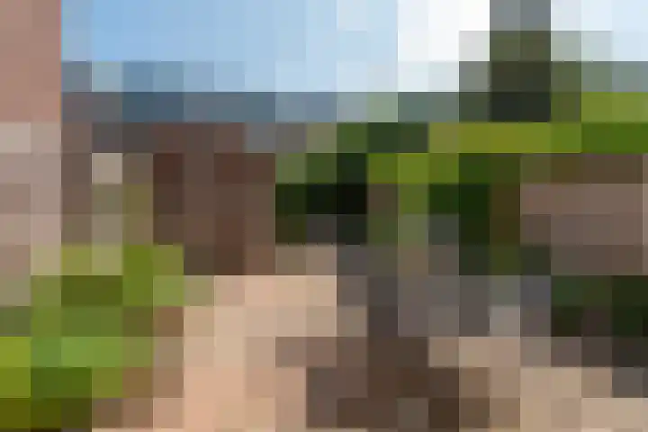 Mendelssohnstraat 37 Utrecht thumbnail 5