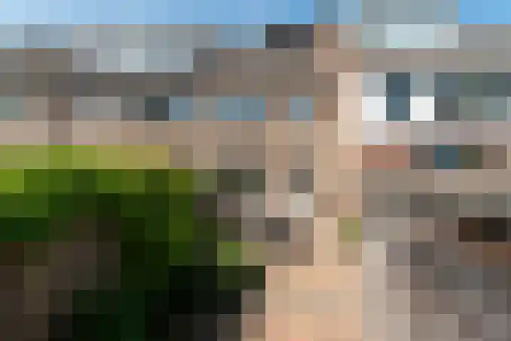 Mendelssohnstraat 37 Utrecht thumbnail 7