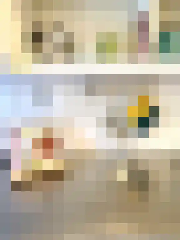 Mendelssohnstraat 4 Utrecht thumbnail 6