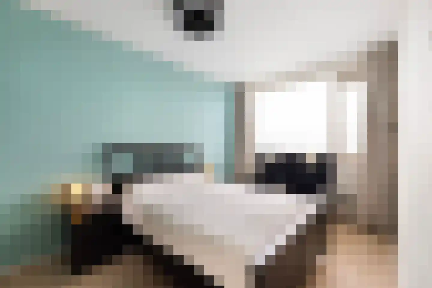 Mendelssohnstraat 44 Hengelo thumbnail 10