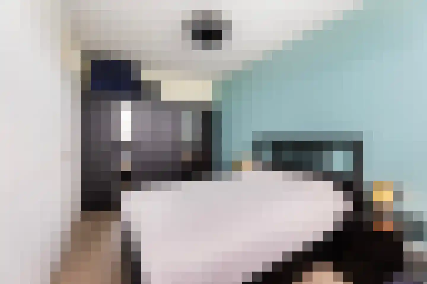Mendelssohnstraat 44 Hengelo thumbnail 11