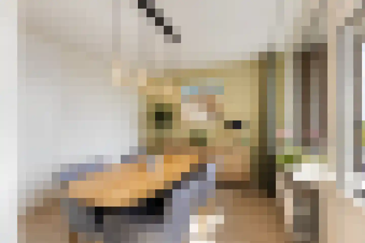 Mendelssohnstraat 44 Hengelo thumbnail 14