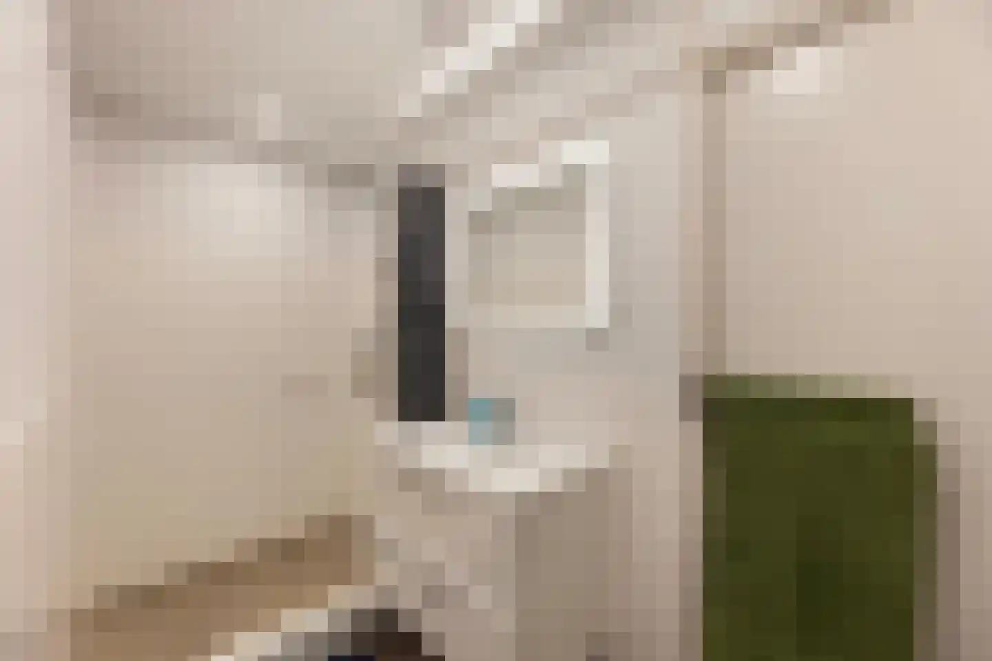 Mendelssohnstraat 44 Hengelo thumbnail 18