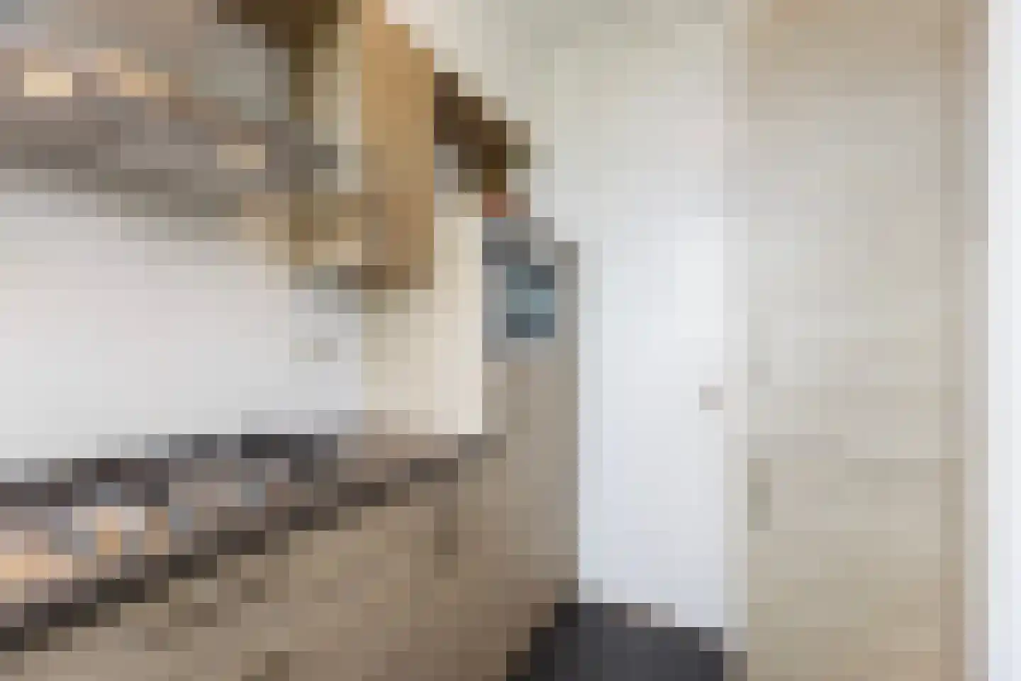 Mendelssohnstraat 44 Hengelo thumbnail 20