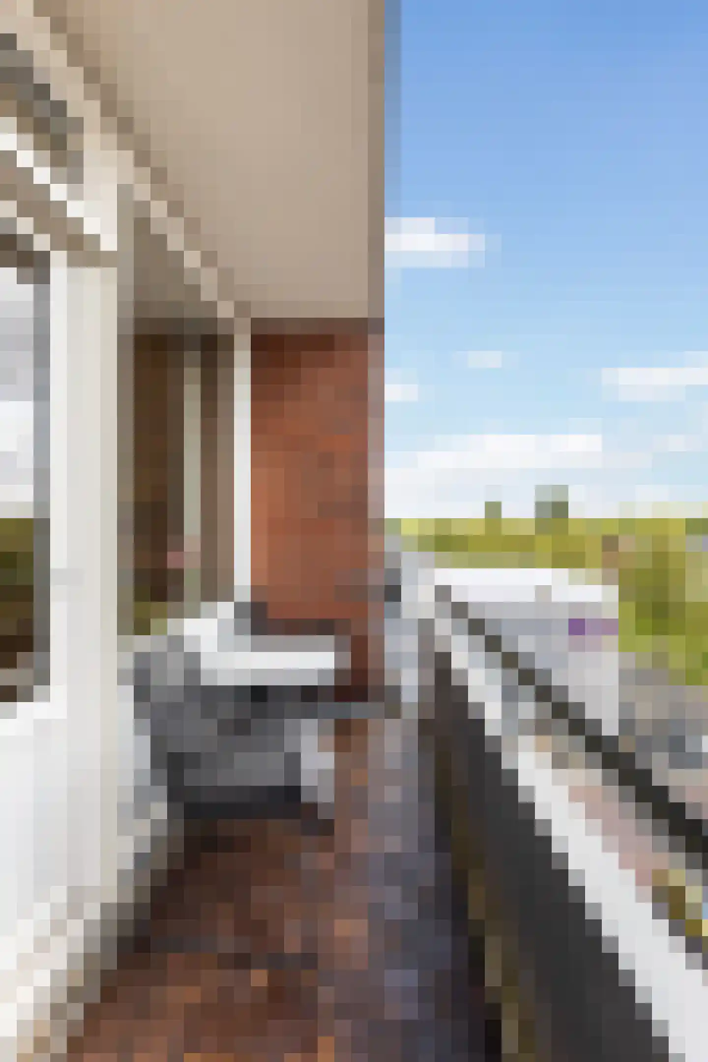 Mendelssohnstraat 44 Hengelo thumbnail 22
