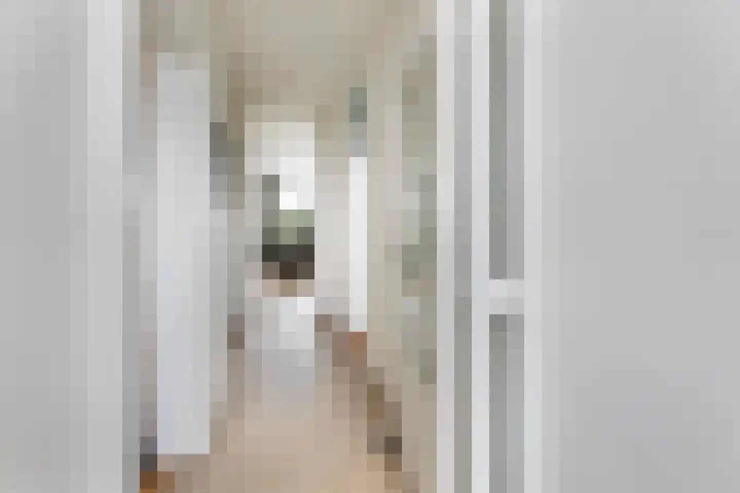 Mendelssohnstraat 44 Hengelo thumbnail 9