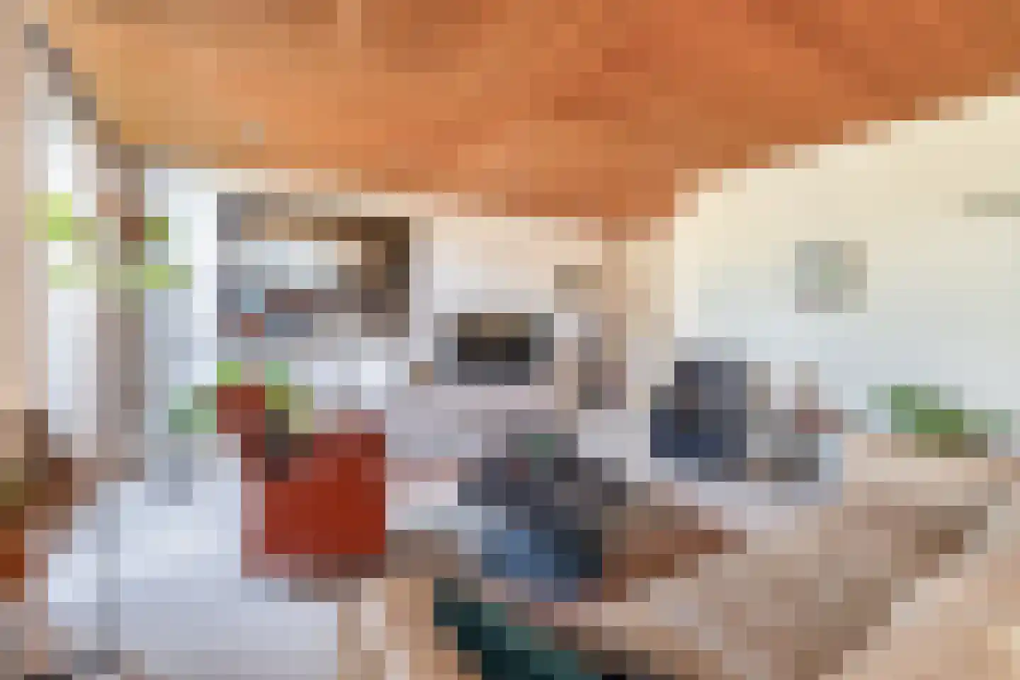 Mendelssohnstraat 5 Waalwijk thumbnail 10