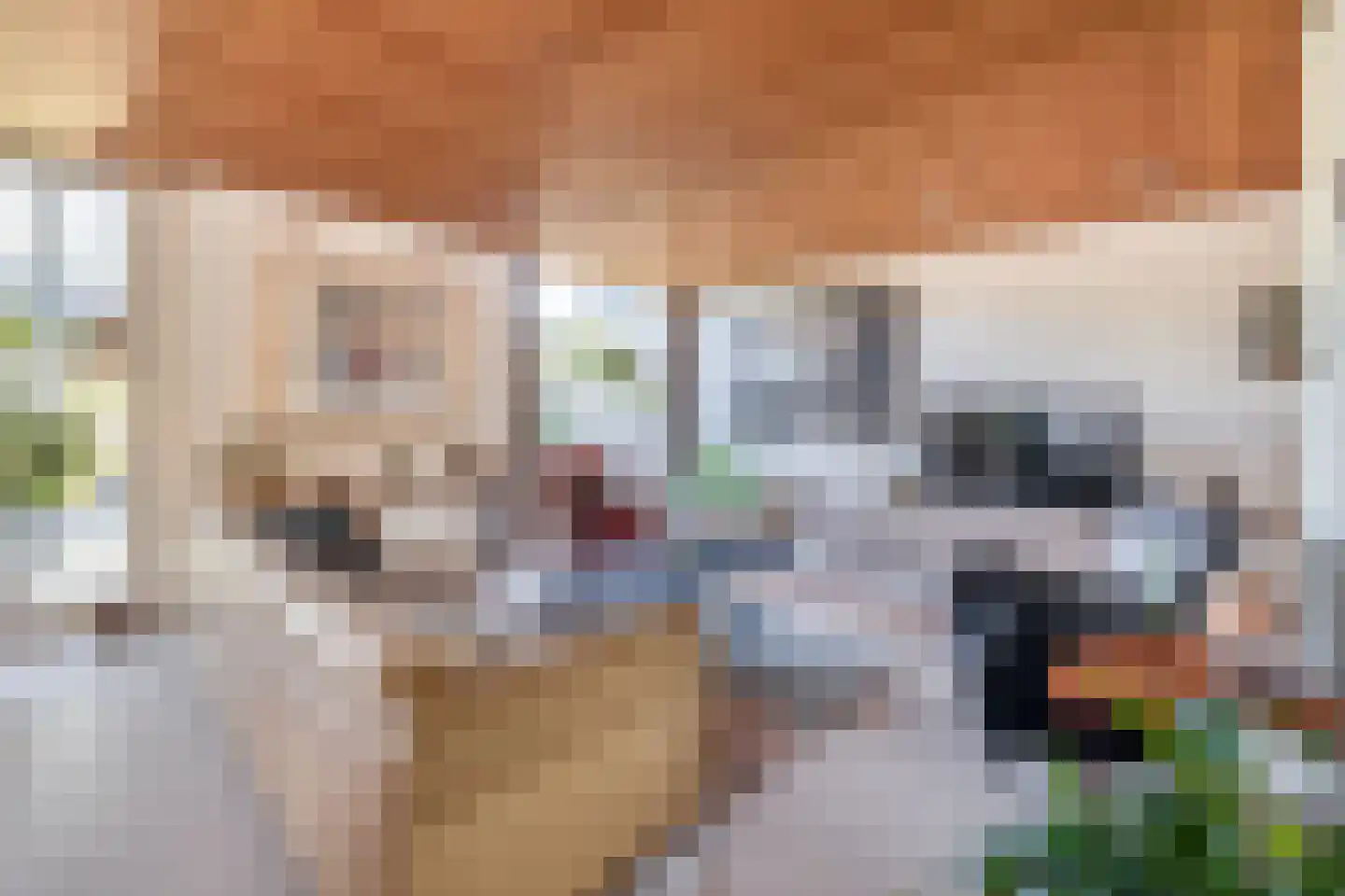 Mendelssohnstraat 5 Waalwijk thumbnail 11