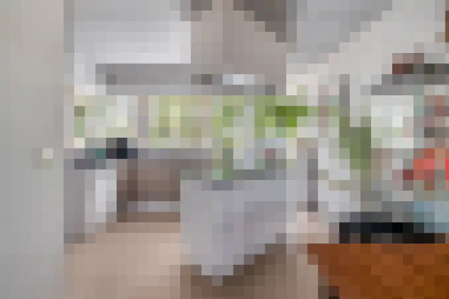 Mendelssohnstraat 5 Waalwijk thumbnail 17