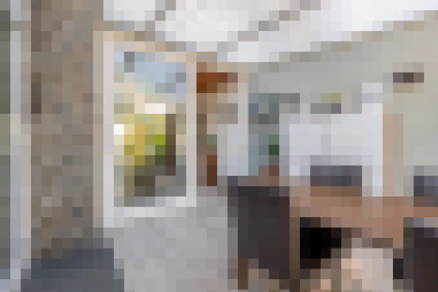 Mendelssohnstraat 5 Waalwijk thumbnail 20