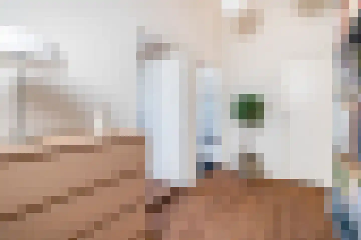Mendelssohnstraat 5 Waalwijk thumbnail 26
