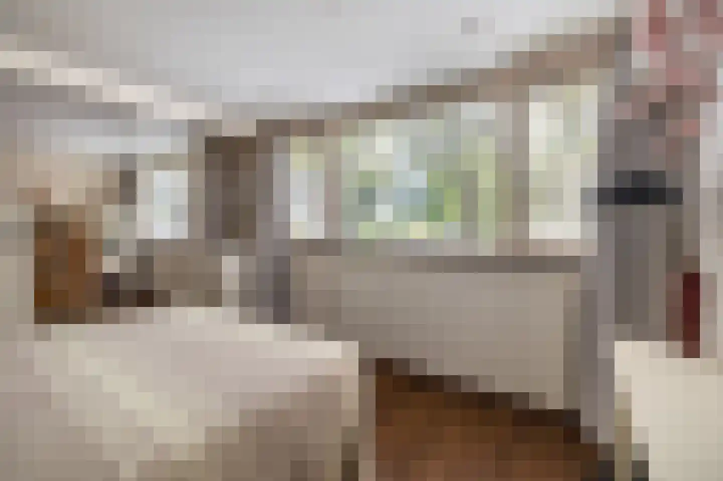 Mendelssohnstraat 5 Waalwijk thumbnail 29