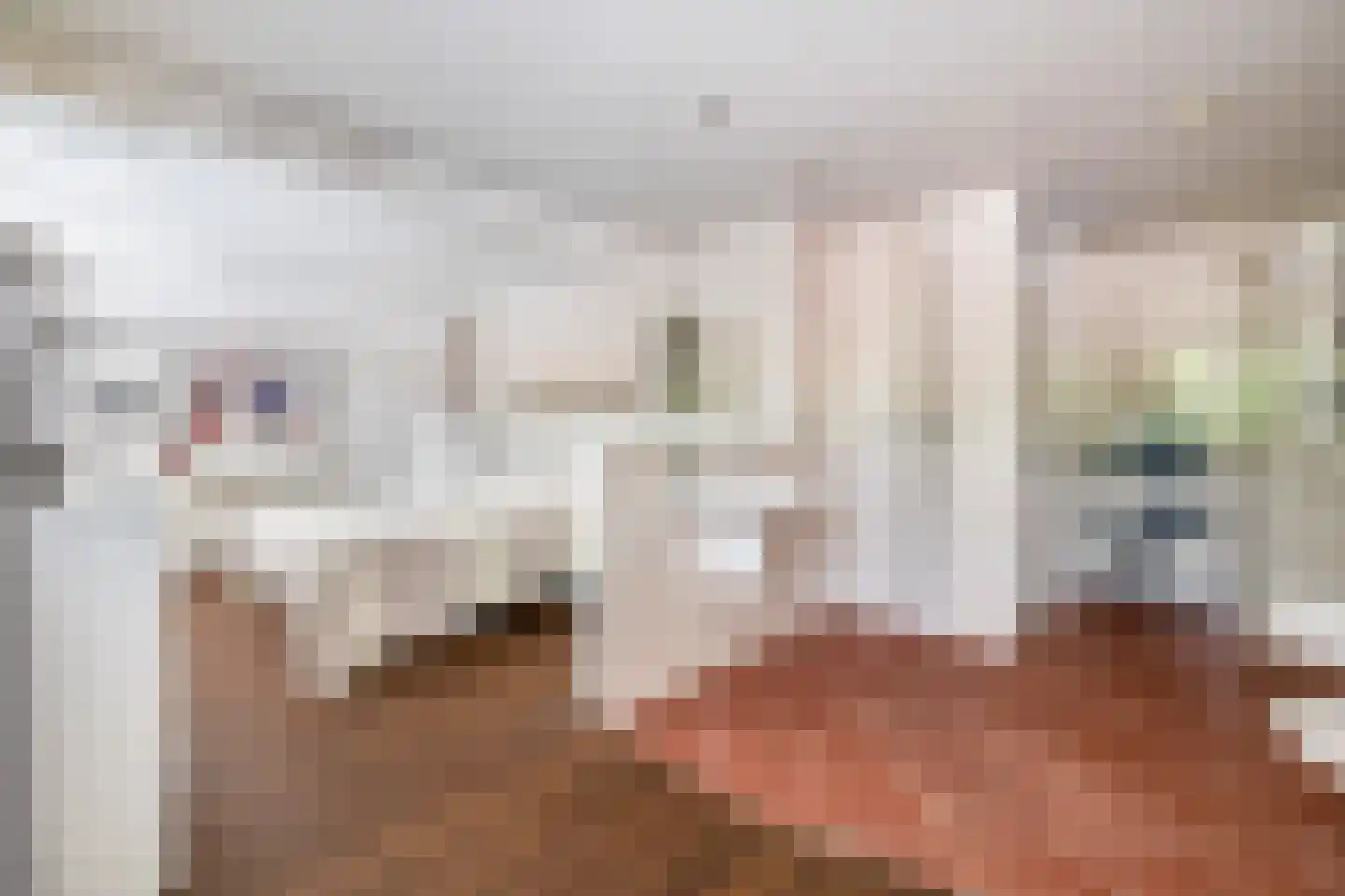 Mendelssohnstraat 5 Waalwijk thumbnail 32
