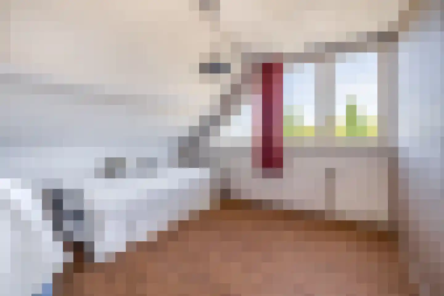Mendelssohnstraat 5 Waalwijk thumbnail 36