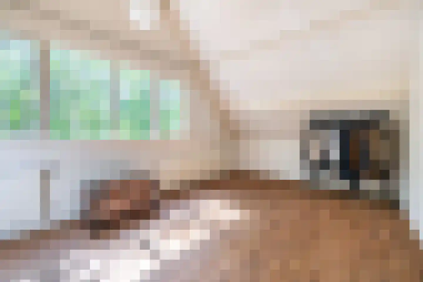 Mendelssohnstraat 5 Waalwijk thumbnail 39